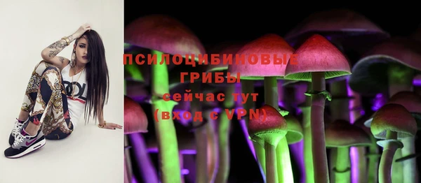 альфа пвп Дмитриев