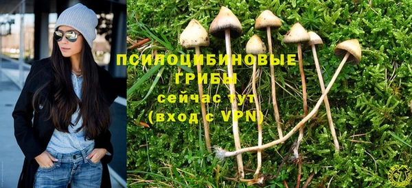 соль ск Гусев