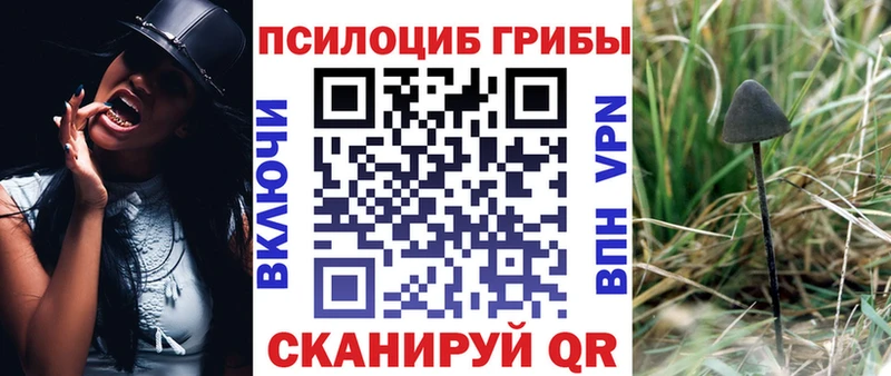 omg онион  закладки  Ефремов  Галлюциногенные грибы мицелий 
